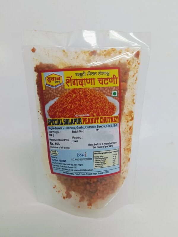 Solapuri Shenga Chutney - Image 4