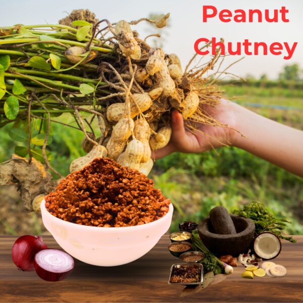 Solapuri Shenga Chutney
